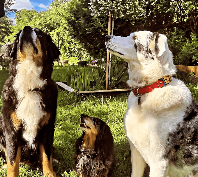 Compagnons de route